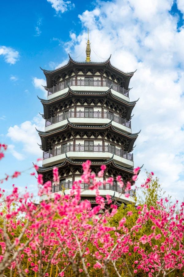 长三角冷链联盟